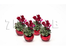 �������� ������� E3138