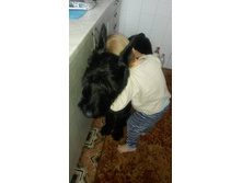 20141018_131503.jpg