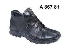 2300�. A-867-81