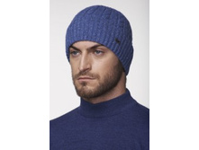 ������: ��� 209