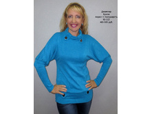 A1229 �����