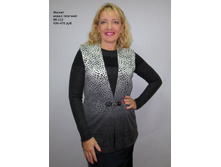 A1433 �����