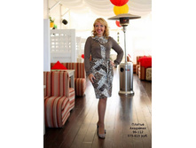 AK1206 �������