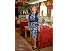 AK1505 �����