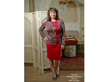 AK1512 �������