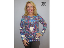 �1697 �����