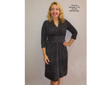 ��1690 ������