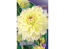 Dahlia Lake Carey 59,9�.jpg