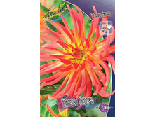 Dahlia Tiki Torch 63,2�.jpg