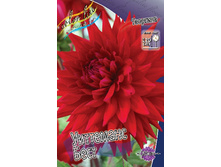 Dahlia Witteman's Best 53,2�.jpg
