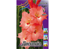 Gladiolus Decisio 10��.  67,7�.jpg