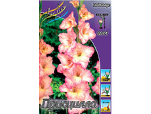 Gladiolus Priscilla 10��.  67,7�..jpg