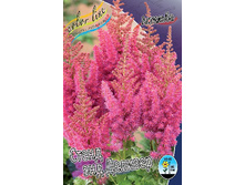 Astilbe Stand And Deliver 199,10�. 3��.jpg
