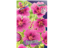 Geranium magnificum Rosemoor 174,7�. 3��.jpg