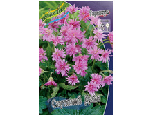 Geranium oxonianum Southcomb Double 230,10�. 3��.jpg