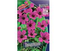 Geranium x Patricia 171,8�. 3 ��.jpg