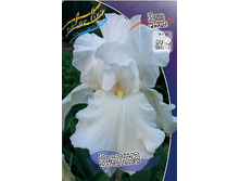Iris germanica Bianca 205,3�. 3��..jpg