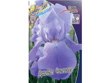Iris germanica Jane Philips 205,3�. 3��..jpg