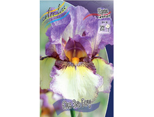 Iris germanica On The Go 205,3�. 3��..jpg