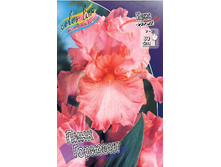 Iris germanica Pink Horizon 205,3�. 3��..jpg