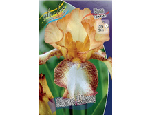 Iris germanica Siva Siva 205,3�. 3��..jpg