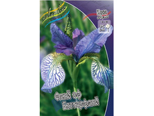 Iris sibirica Flight Of Butterflies 186,4�.�� 3��.jpg