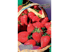 Fragaria Ostara 5 ��.  84,4 ���..jpg