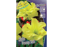 Hemerocallis Double River Wye 309�. �� 5 ��..jpg