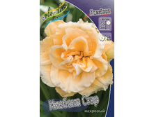 Hemerocallis Ikebana Star 448,7�. �� 3 ��..jpg