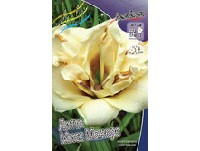 Hemerocallis Little Miss Manners 375,8 �. �� 3 ��..jpg