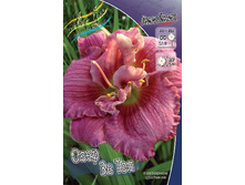 Hemerocallis Over The Top 466,9�. �� 3 ��..jpg