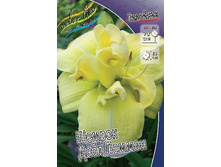 Hemerocallis Shamrock Double Lemon 412,3�. �� 3 ��..jpg