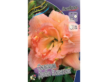 Hemerocallis Siloam Double Classic 394�. �� 3 ��..jpg