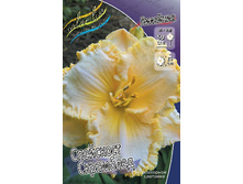 Hemerocallis Spacecoast Scrambled 303�. �� 2 ��..jpg