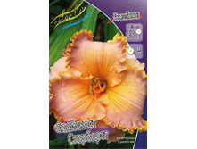 Hemerocallis Spacecost Starbust 303�. �� 2 ��..jpg