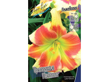Hemerocallis Tropical Passion 278,7 �. �� 2 ��..jpg