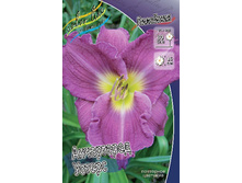 Hemerocallis Unchartered Waters 205,8�. �� 2 ��..jpg