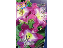 Hemerocallis Water Dragon 315,10�. �� 2 ��..jpg