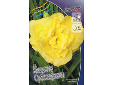 Hemerocallis Yellow Submarine 448,7�. �� 3 ��..jpg