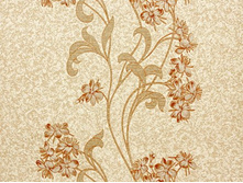 ���� 501 02 ��.���.jpg