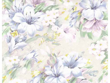 �������� 21.jpg