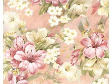 �������� 62.jpg