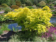 �̣� ������������� ������-580