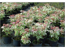 �̣� ������������-��������-435