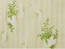 ��ң��� 6411-01.jpg