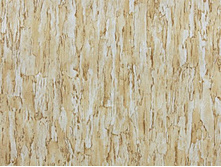 ����� 0380 01 �������.jpg