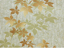 ������� 899 08 ����.�������.jpg