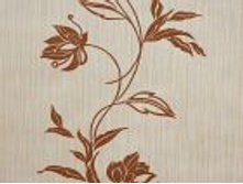 ������ 5107 02 ���.�������.jpg