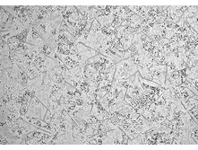 ���� 0484 5.jpg