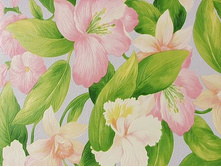 �����.�ң�� 998-10 ���.jpg